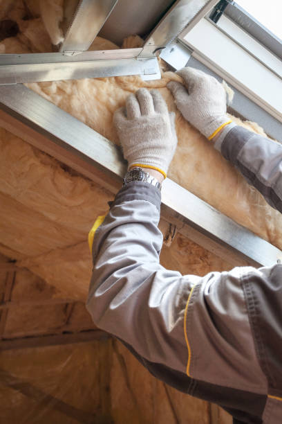 Best Wall Insulation Contractor  in Penrose, CO