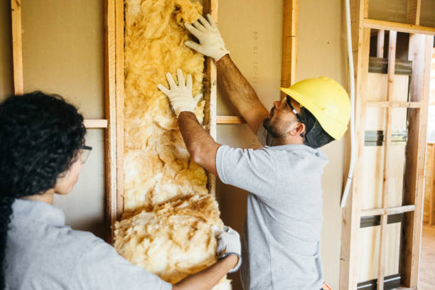 Best Commercial Insulation Contractor  in Penrose, CO